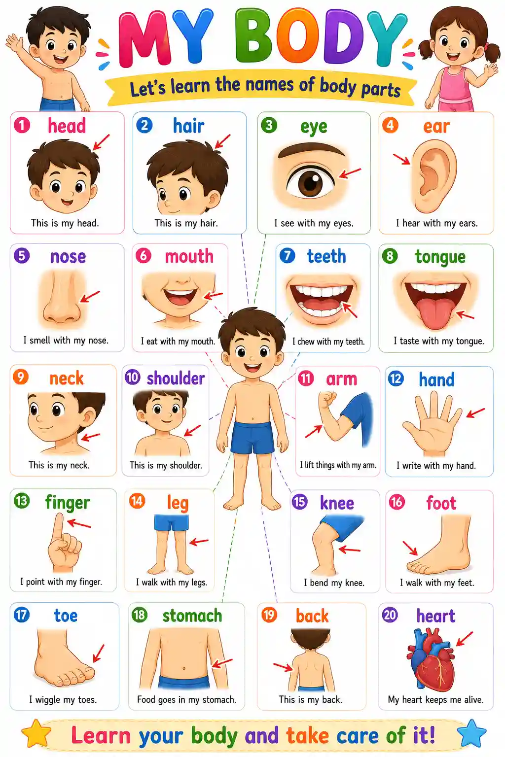 LKG EVS My Body Parts Learning Chart