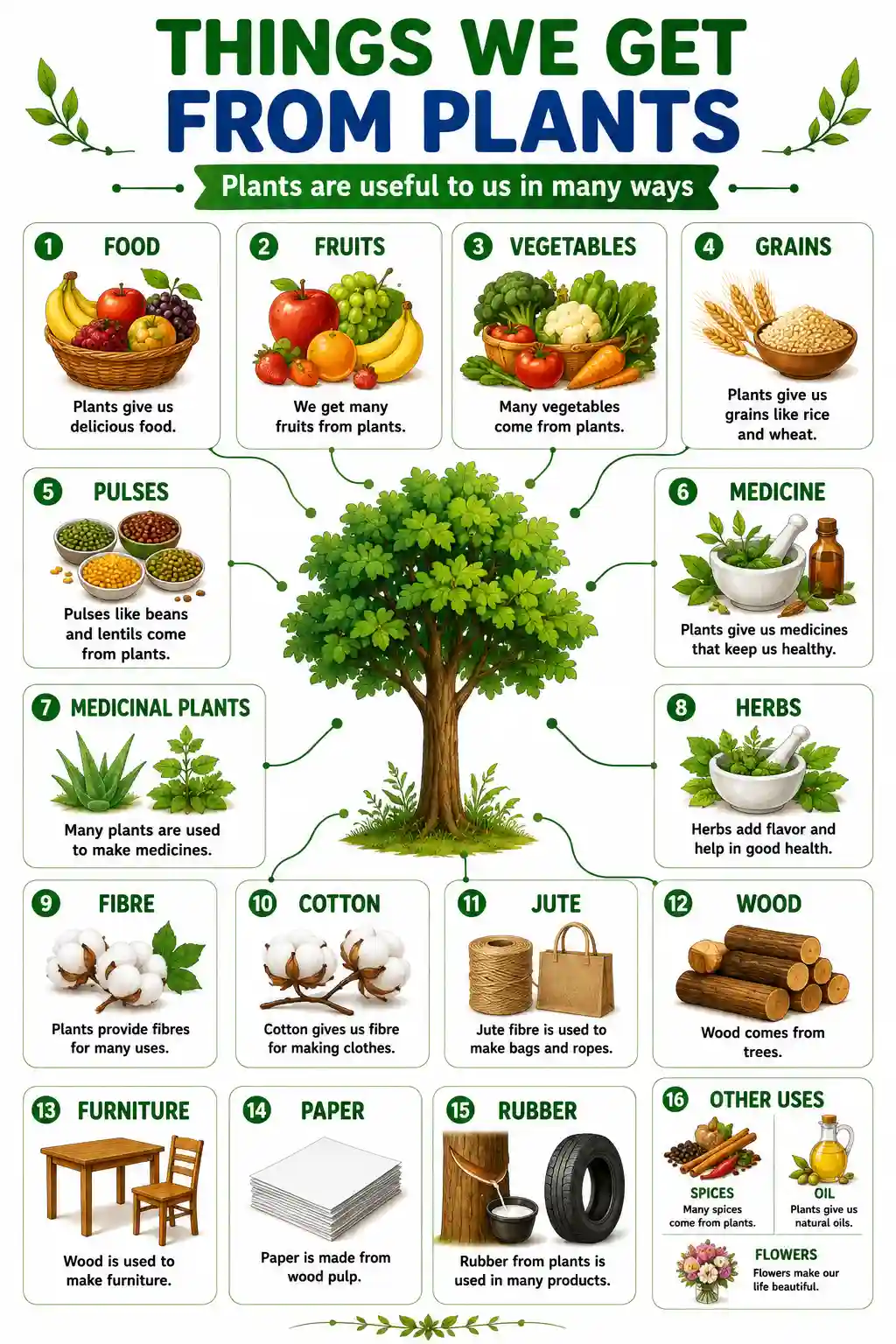 Class 1 EVS Things We Get From Plants Uses Chart