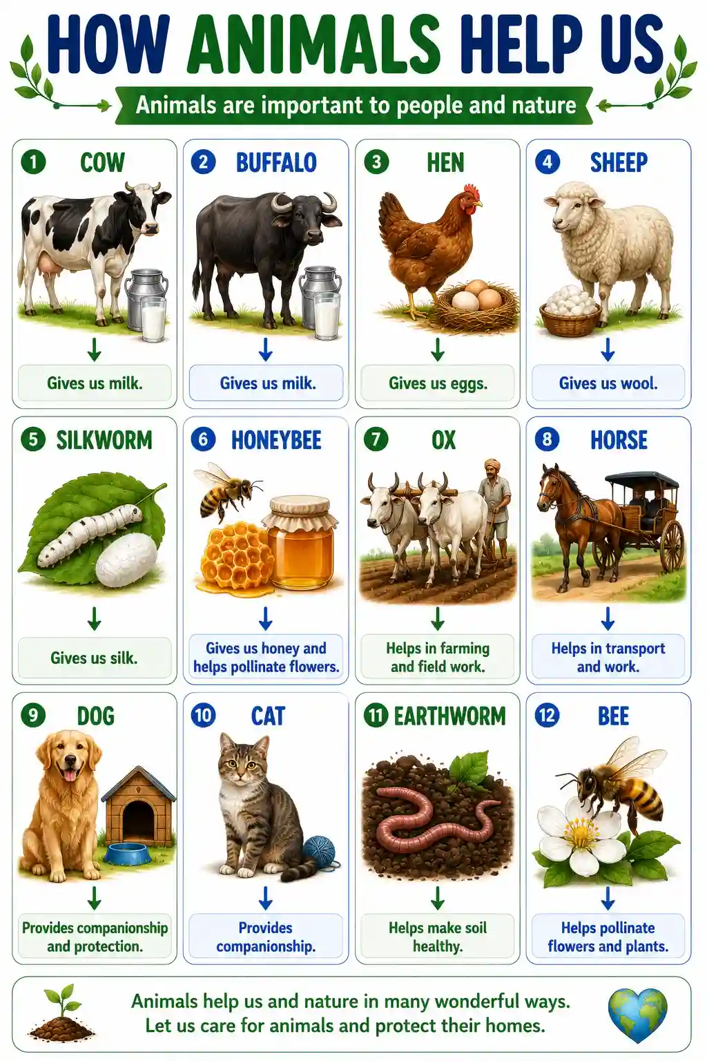 Class 1 EVS How Animals Help Us Uses Chart Preview