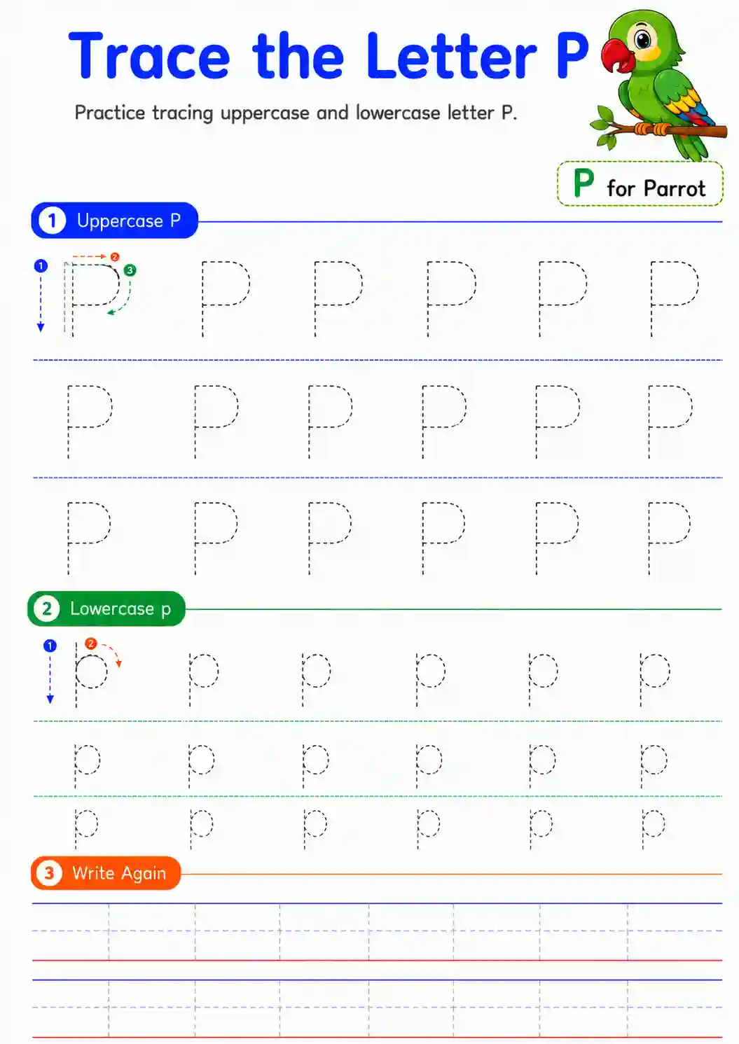 Alphabet Letter P Tracing Worksheet