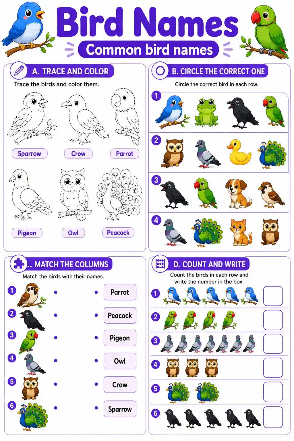 Common Bird Names Worksheet