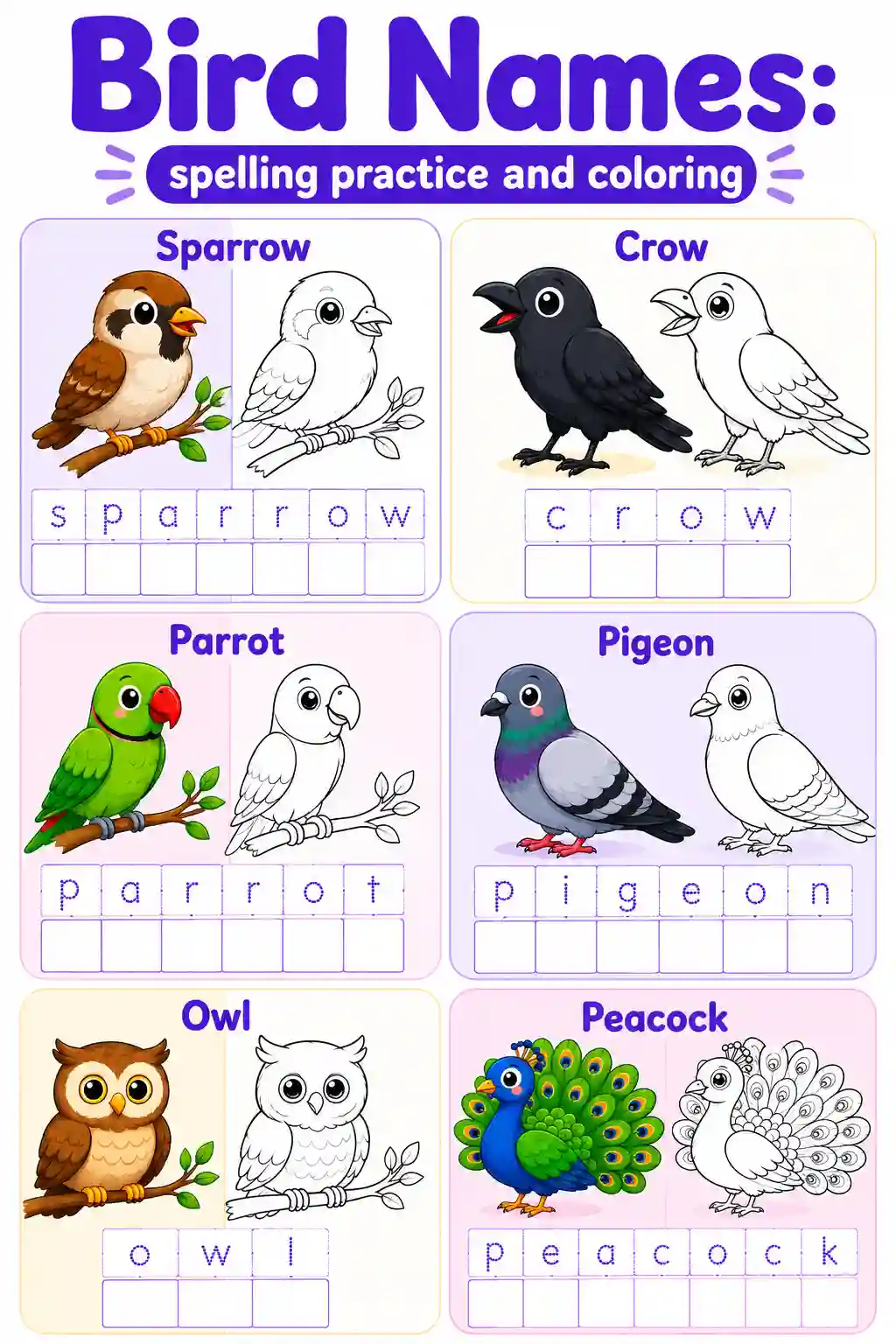 Bird Spelling and Coloring Chart