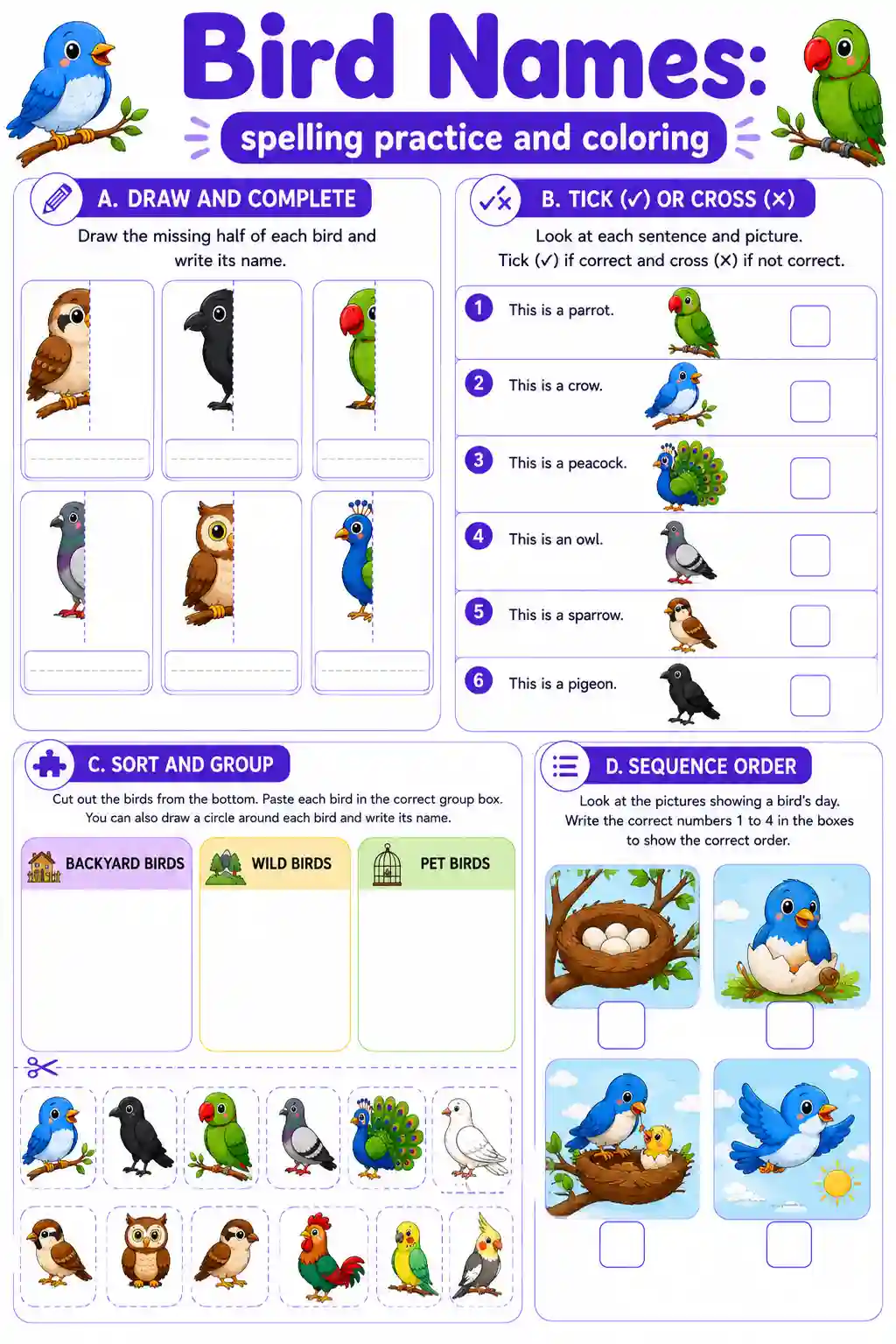 Bird Spelling and Activity Worksheet