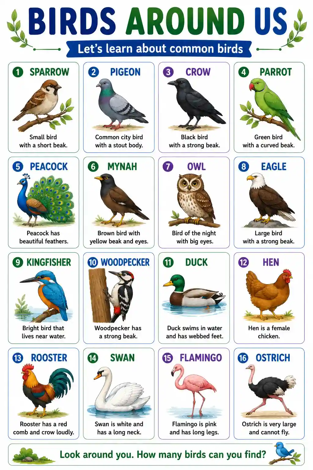 UKG English Birds Around Us Chart Preview