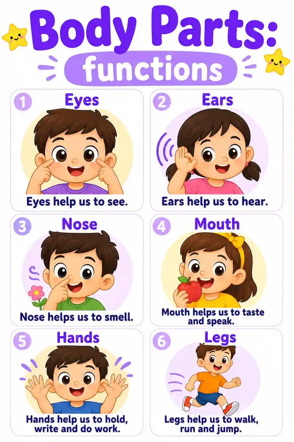 Body Parts Functions Chart