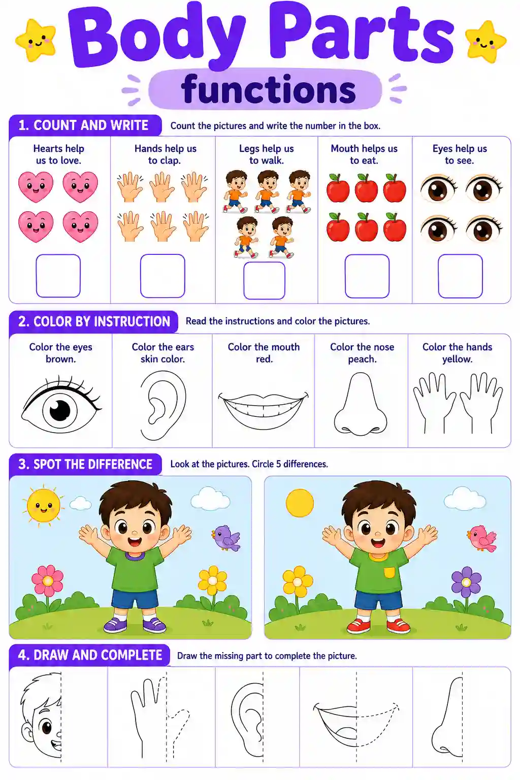 Body Parts Functions Worksheet