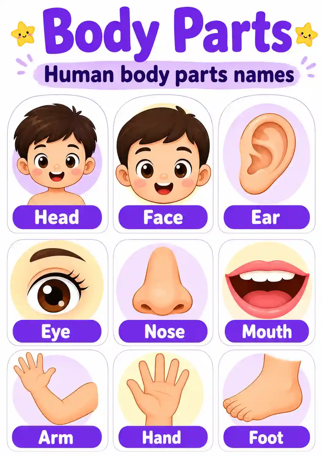 Human Body Parts Names Chart