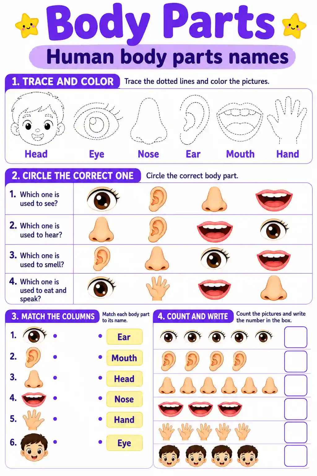 Human Body Parts Names Worksheet