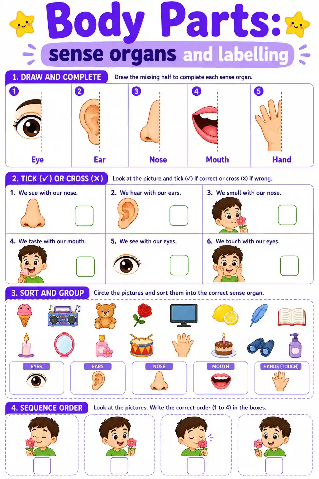 Sense Organs and Labelling Worksheet