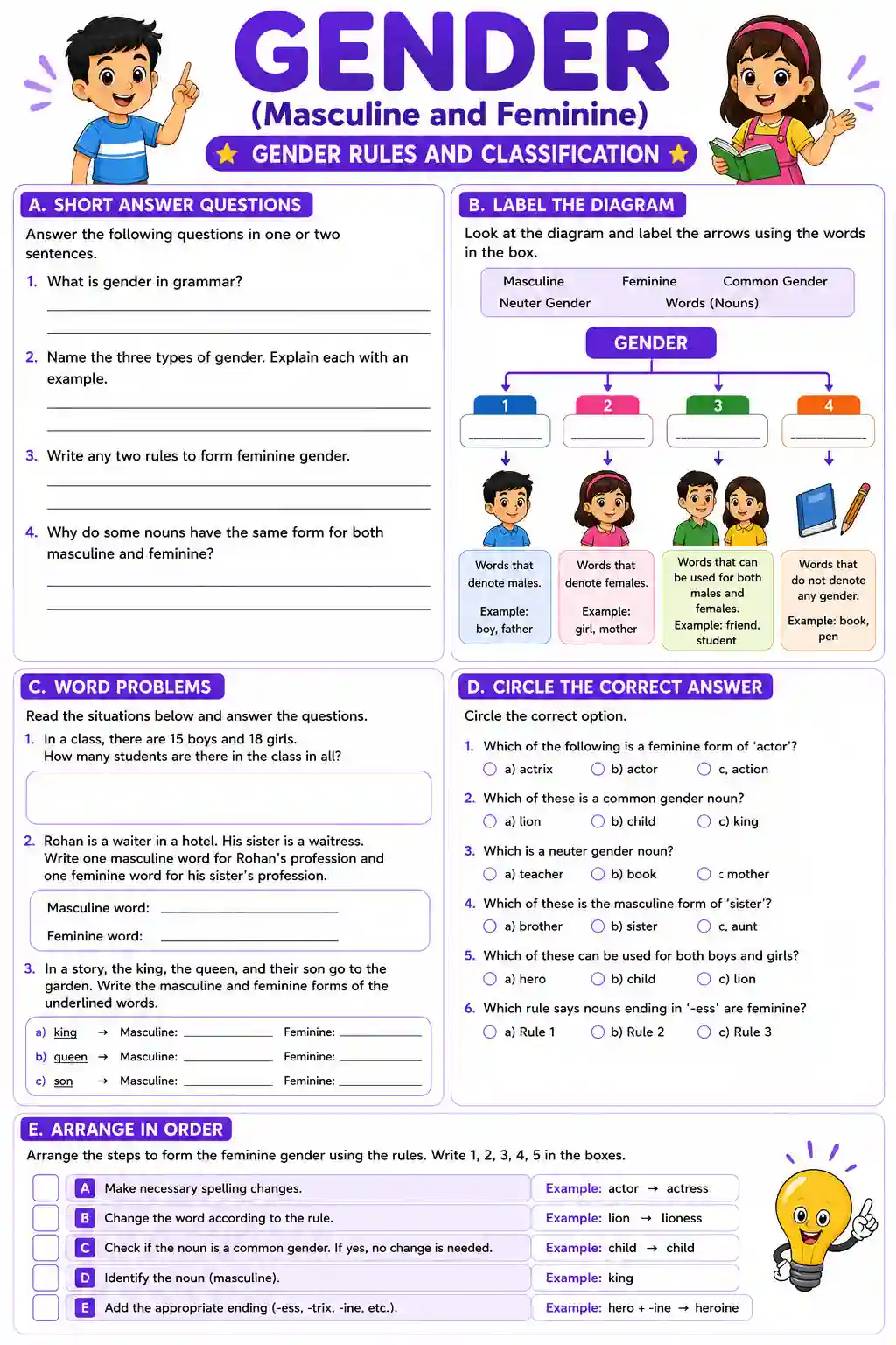 Gender Noun Rules and Classification Worksheet