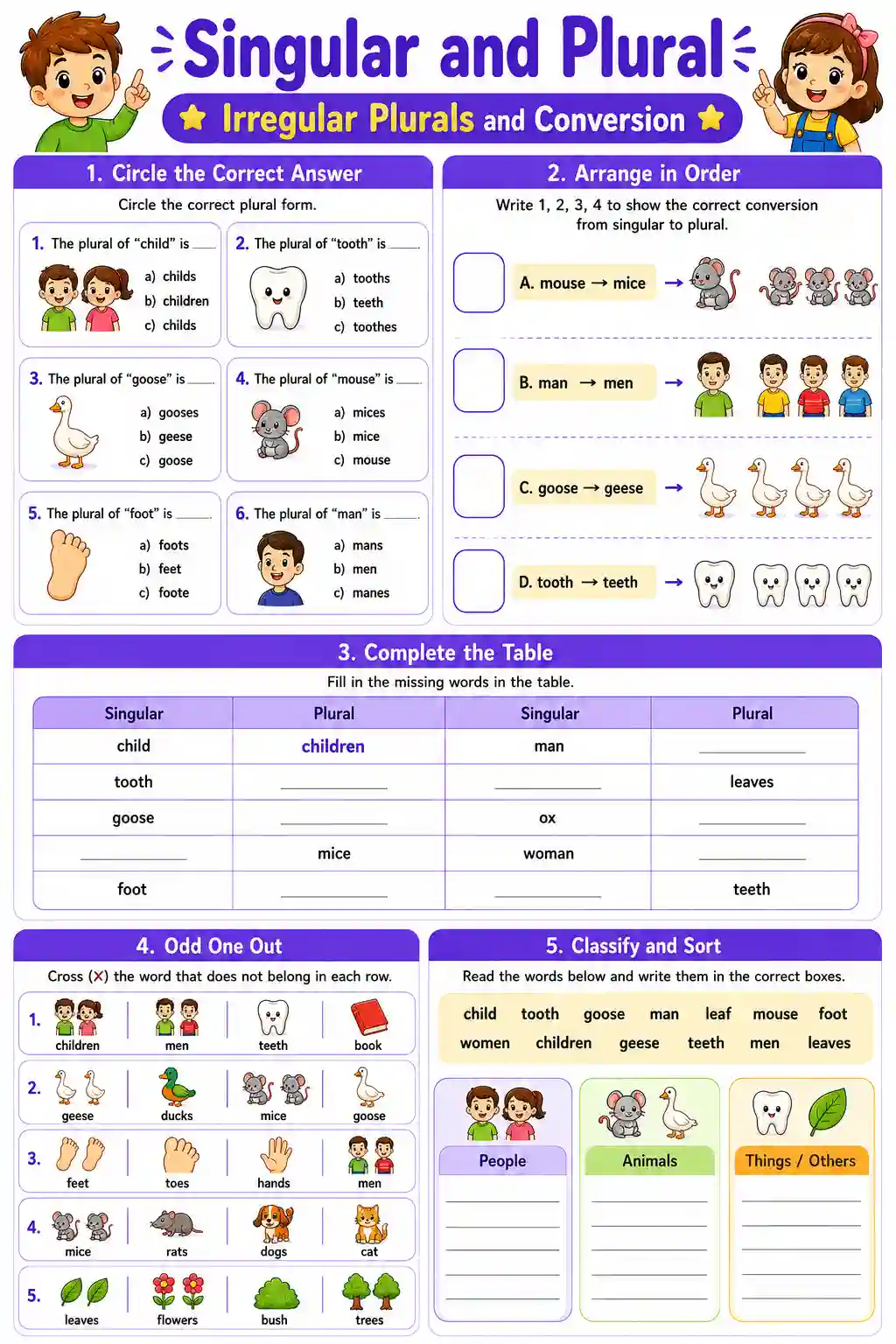 Irregular Plurals and Conversion Worksheet