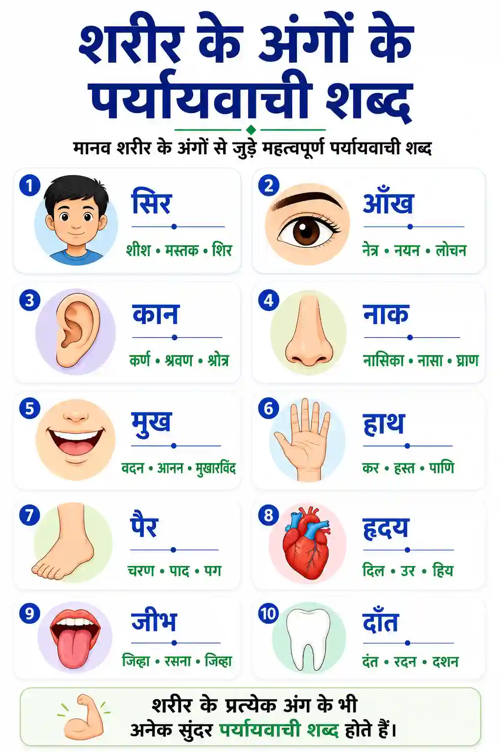 Hindi Sharir Ke Angon Ke Paryayvachi Shabd Chart