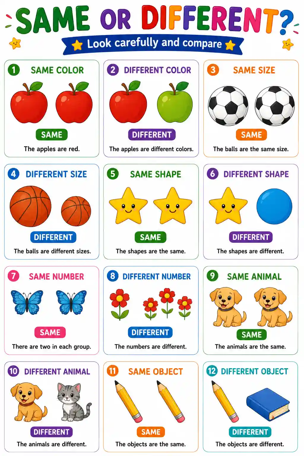 Nursery Maths Same or Different Comparison Chart Preview