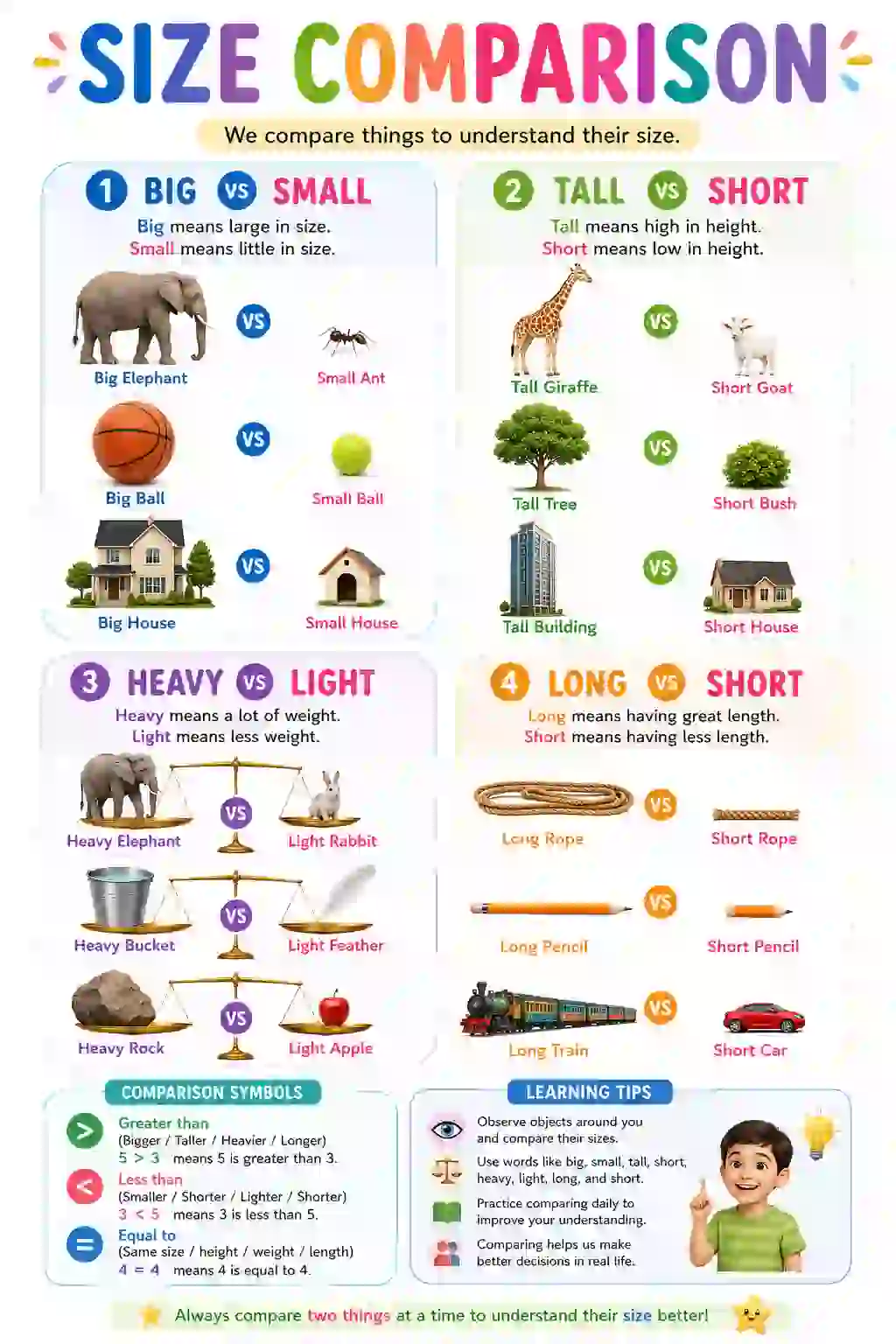 Size Comparison Infographic Poster