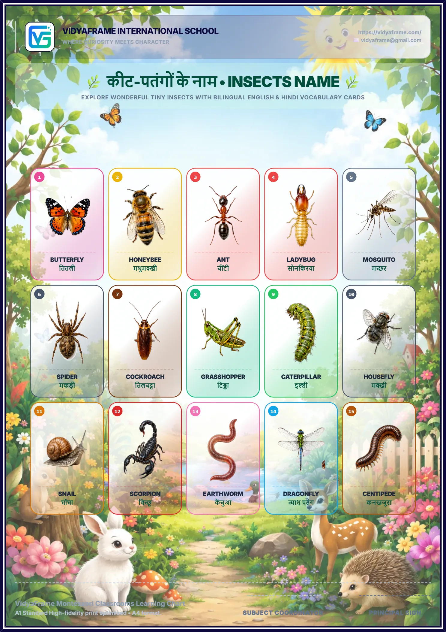 Interactive Insects Chart Builder (कीट-पतंगों के नाम)